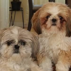 Meet your Posher, Patricia